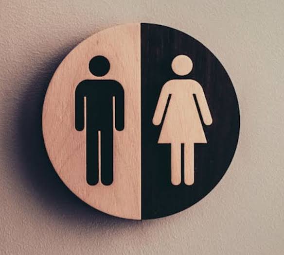 Lei proíbe uso de banheiro por mulheres trans em Campo Grande (MS); entenda | CNN Brasil
