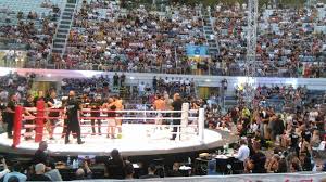 La salma è esposta nella cappellina della misericordia a montecalvoli. Bellator Al Foro Italico E Grande Show