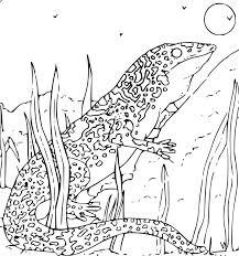 37+ gecko coloring pages for printing and coloring. Gecko Coloring Page For Kids Free Printable Picture