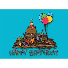 Beaver dam birthday postcard