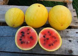 Please copy/paste the following text to properly cite this howstuffworks.com article: Golden Midget Watermelon 10 Organic Seeds Sweet Pink Flesh Etsy