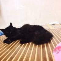 2004 kolej islam sultan alam shah: Smk Tunku Putra Langkawi 2 Tips