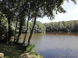 Steinbachtalsperre from www.behrenberg.de these include cookies that are necessary for the operation of the site and for the management of our commercial business objectives, as well as those that are used only for anonymous statistical purposes, for convenience settings or to display personalized content. Freizeitbereich Steinbachtalsperre Miniature Golf Outdooractive Com