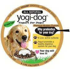 Yogurt is not toxic to dogs, however, because it contains lactose, many canines will have trouble digesting it. Dog Friendly Probiotic Yogurts Yogurt For Dogs