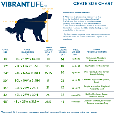 Dog Crate Size Chart By Breed Best Picture Of Chart