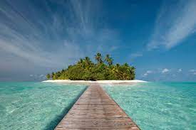 Download in under 30 seconds. Forget The Moat And Make Your Startup A Tropical Island