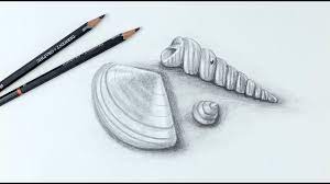 How long does it take to draw a sea shell? How To Draw Realistic Shells Still Life Youtube