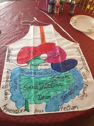 Pin By Vanna Ch On Body Bits Creative Human Body Projects Biology Projects Biology Classroom