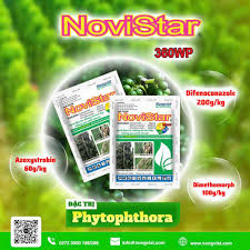 Novistar 360WP