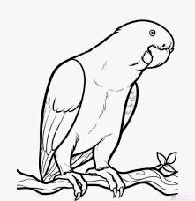 Dibujos De Loros Para Colorear