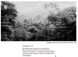 Di daerah pesisir pantai terdapat hutan mangrove yang sangat lebat dan sangat bagus untuk keamanan pantai. Emanuel Hartanta Biosfer Flora Dan Fauna