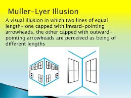 The purpose of this experiment was to. Visual Illusions Ppt Download