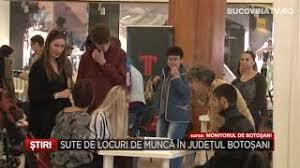 Se cauta urgent persoane persoane pentru munca in depozitul xiaomi (la repartizarea mărfii pe stilaj). Sute De Locuri De Munca In Botosani Youtube