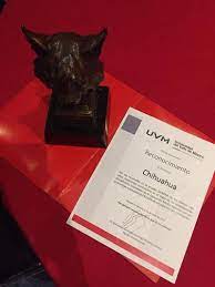 Podemos ver que nos sirve para la primera. Uvm Chihuahua Obtiene El Mejor Resultado En El Examen Domina El Heraldo De Chihuahua Noticias Locales Policiacas De Mexico Chihuahua Y El Mundo