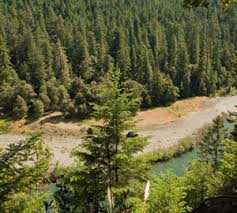 Lose yourself under giant redwoods. Standish Hickey State Recreation Area Archives Save The Redwoods League