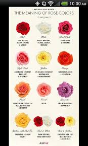 Wat Flowers Mean Rose Color Meanings Flower Meanings Language Of Flowers