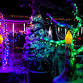 Frostbite Forest 12/13/2025 event image