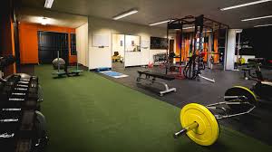 Armstrong Fitness 6 Projeto Academia Exercicios De Treino Academia