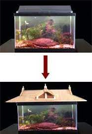 Maybe you would like to learn more about one of these? Philippines Arts Crafts Poseidonsciences Fishing Tank Tops Fish Tank Diy Fish Tank