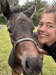 The 2025 Badminton Ride is underway! Hundreds of horses have travelled from  far and wide to enjoy this fabulous annual ride at the Badminton Estate.  Duty vets Sarah Moore from South Wales