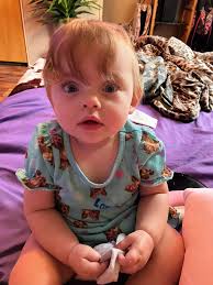 Misty and Storm's First Birthday Celebration in Heeler Heaven of Arkansas