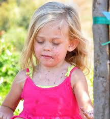 Tree planting honors superintendant's efforts