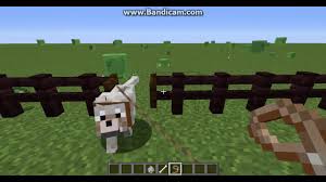 Minecraft Da Kurt Nasil Evcillestirilir Youtube