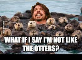 What If I Say I M Not Like The Others Otters Funny Captions Sea Otter