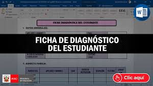 La comprensión lectora es muy importante durante el aprendizaje de los niños y adolescentes. Ficha De Diagnostico Del Estudiante Ministerio De Educacion