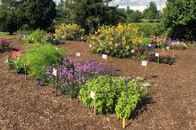 Surprise friends & family with fresh flowers from ftd®! Helping Homeowners Help Bees Landscape Ontario