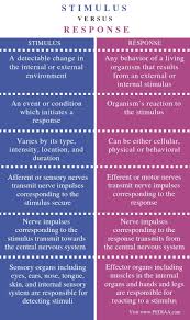 What Is The Difference Between Stimulus And Response Pediaa Com