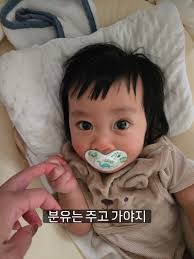 시현이 보고가세요