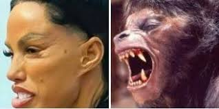 Cheating scandals, bitter custody wars, and even a breakdown — but now  Katie Price has her biggest win yet, as Bunny (10) and Jett (11) are  finally coming home to live with