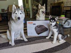 We did not find results for: Gone To The Snow Dogs Gonetothesnowdogs Profile Pinterest