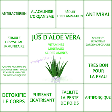 Jus D Aloe Vera Sante Sante Bien Etre Aloe Vera