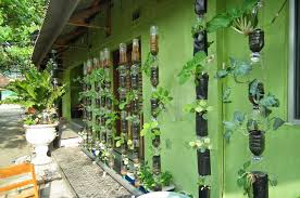 Berkebun merupakan kegiatan yang mengasyikan. Manfaatkan Lahan Kosong Di Rumah Dengan Menanam Sayuran Vertikultur Semua Halaman Idea