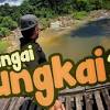 Rafting/hot spring/gua tempurung (ukwa travelink). Https Encrypted Tbn0 Gstatic Com Images Q Tbn And9gcsksid8 D3mwe Wbsxljqcrk3vtf3ok0t5xxdce4jrkclfnyopk Usqp Cau