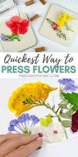 Once the flowers are dry, open the microwave and cover the container. How To Press Flowers In 10 Minutes Flat In 2020 Pressed Flowers Diy Pressed Flower Crafts Dried Flowers Diy