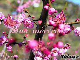 bon mercredi - Page 6