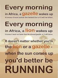 When the sun comes up, you had better be running. Lion Or Gazelle You Would Better Be Running Full Quote Poster By Ponytaclub Strong Motivational Quotes Fitness Inspiration Quotes Good Morning Quotes