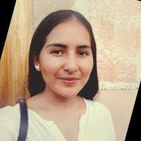 50+ "Sanchez Solares" profiles