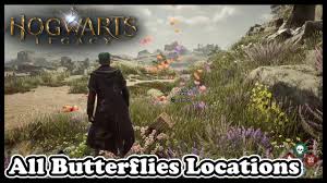 Hogwarts Legacy All Butterfly Locations - YouTube
