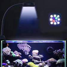 Maybe you would like to learn more about one of these? Nano Aquarium Coral Reef Grow Light Saltwater Sea Water Marine Led 12w Small Fish Tank Lights 5 Color Lighting Lamp Led Shopee Malaysia