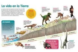Resultado De Imagen Para Eras Geologicas De La Tierra Evolucion De La Vida Evolucion De Las Especies Ciencias De La Tierra