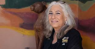 Cheetah Conservation...