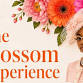 The Blossom Experience