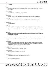 Entenvögel haben ein federkleid aus tausenden von kleinen federn, die sich größtenteils unter den langen äußeren federn befinden. Mediathek