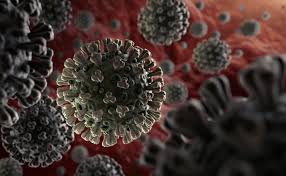 Sars was first reported in asia in february 2003. Sars Cov 2 Study Confirms Previous Incubation Period Estimates
