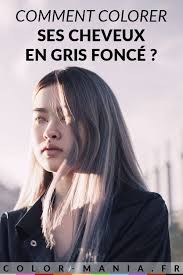 Epingle Sur Cheveux Gris