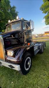 Image result for Gray 1960 Petit Truck